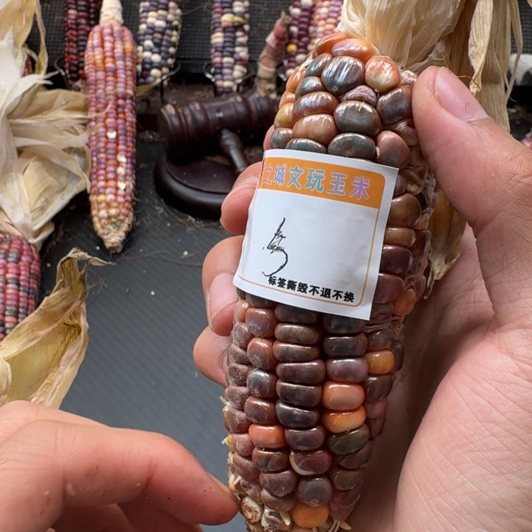 米***夏吊坠柏香籽/百香籽