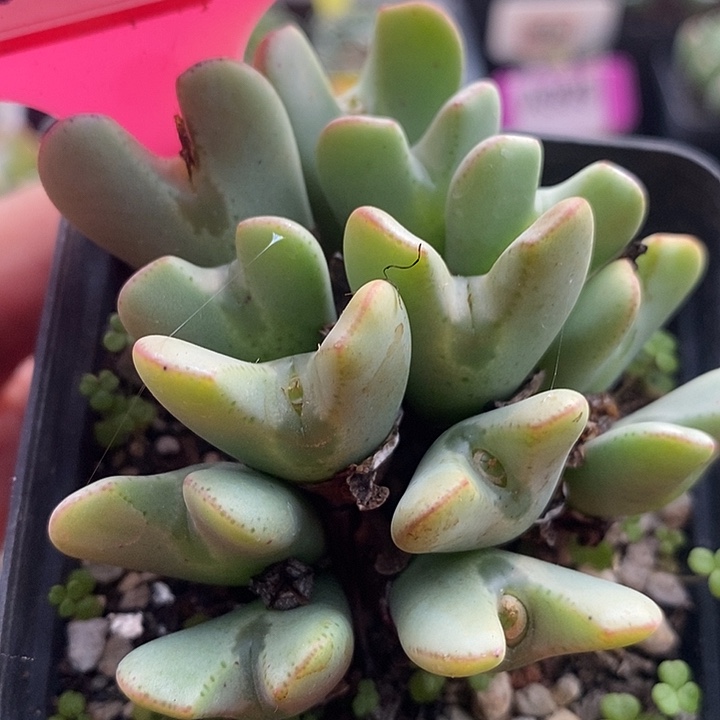 今天晚上你来了没有4032