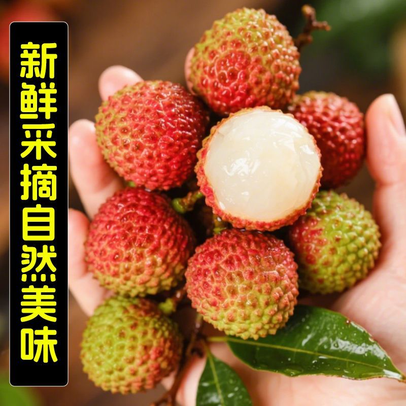 正宗现摘广东白糖罂荔枝新鲜薄皮水果白糖罂糯米糍冷链运输