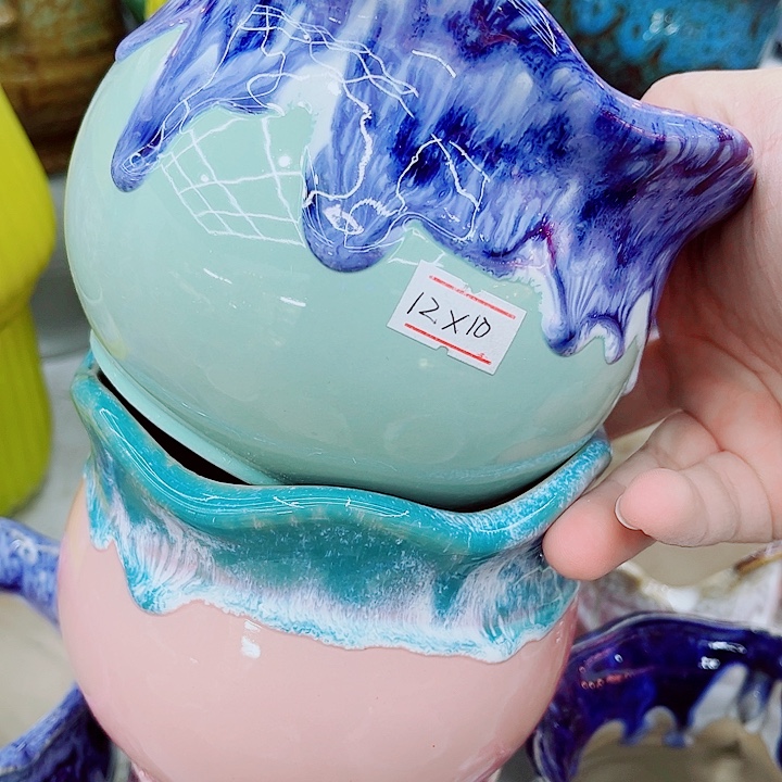 多肉植物陶瓷花盆