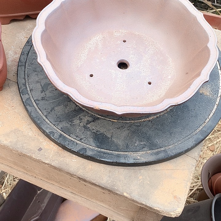 紫砂优秀青年科技人才创新人才招聘会