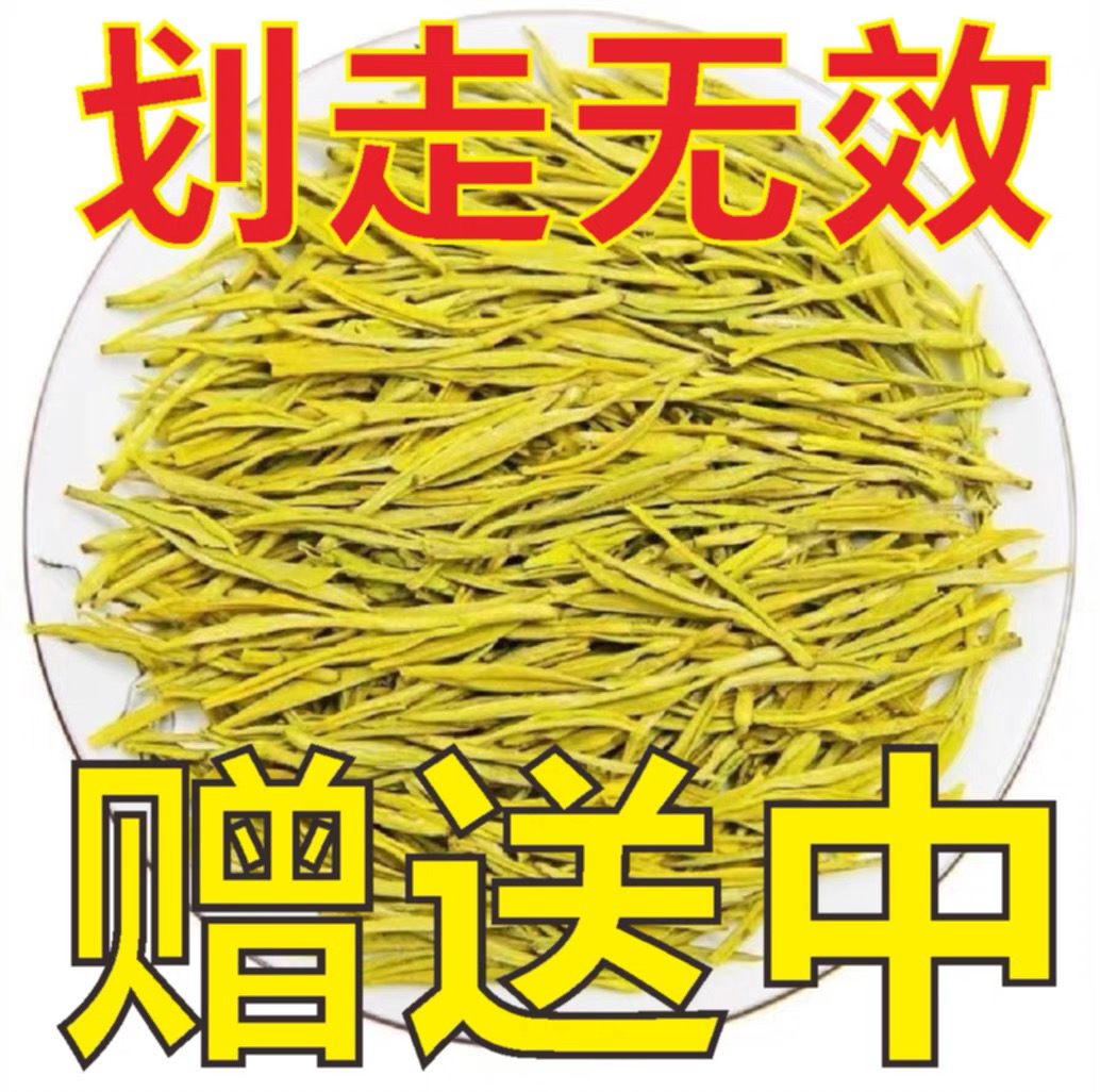 7正宗2025年新茶黄金芽茶叶雨前绿茶叶白茶罐装袋装黄金叶茶茶叶