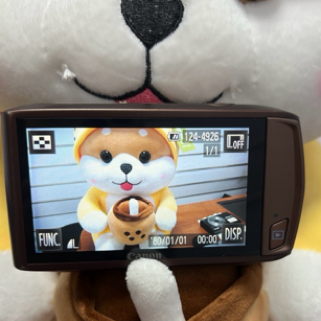 8新 Canon/佳能 1210万像素4.4倍光学变焦带触摸屏出片效果非常棒