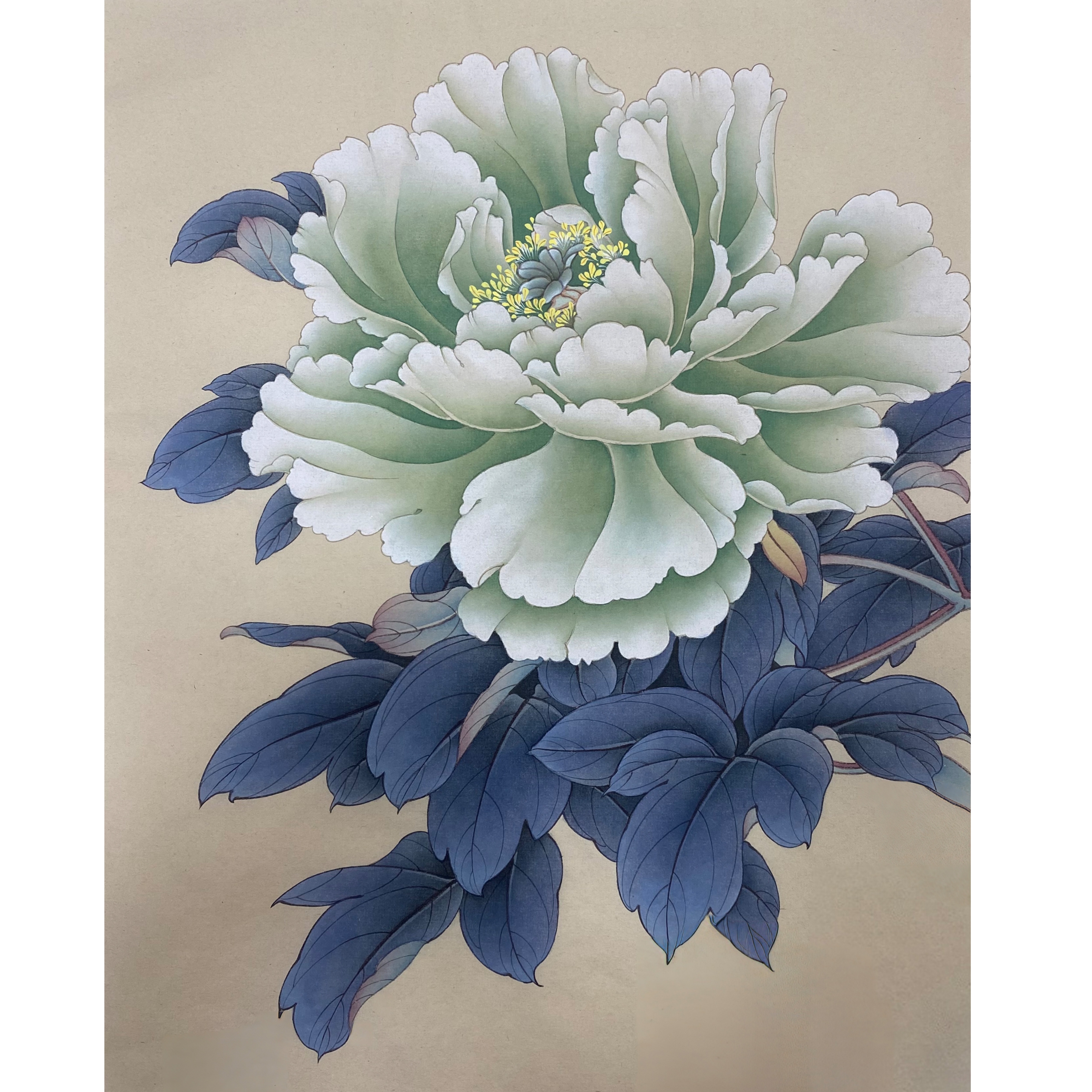 工笔画牡丹课翡翠绿附带底稿彩图视频教程送一张熟宣适合初学入门