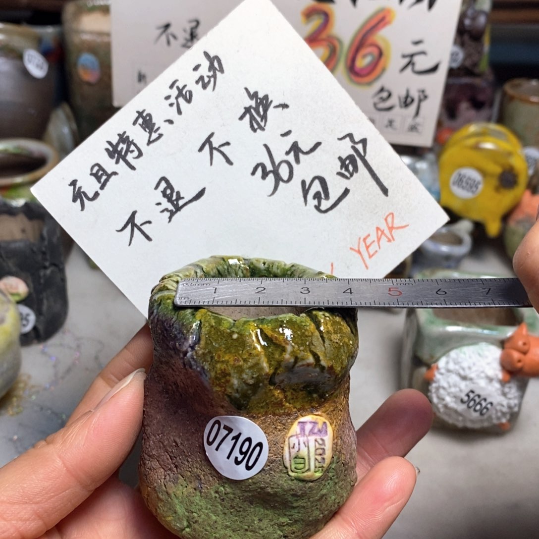 元旦特价花盆不退不换的原价48