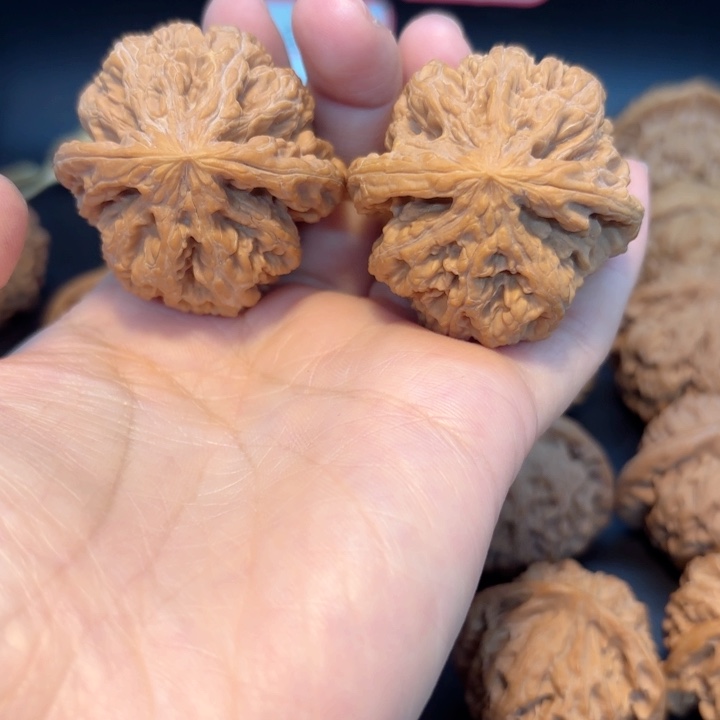 42平谷大粗筋有修尖