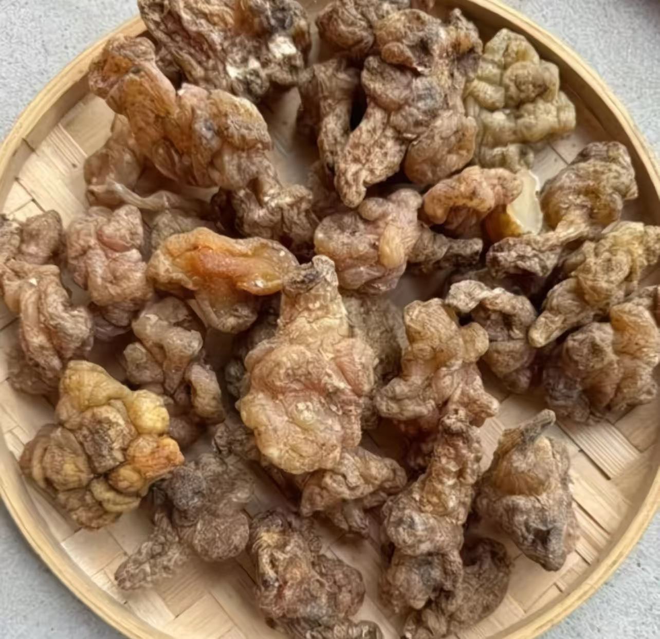 龙腾专属-玉精灵