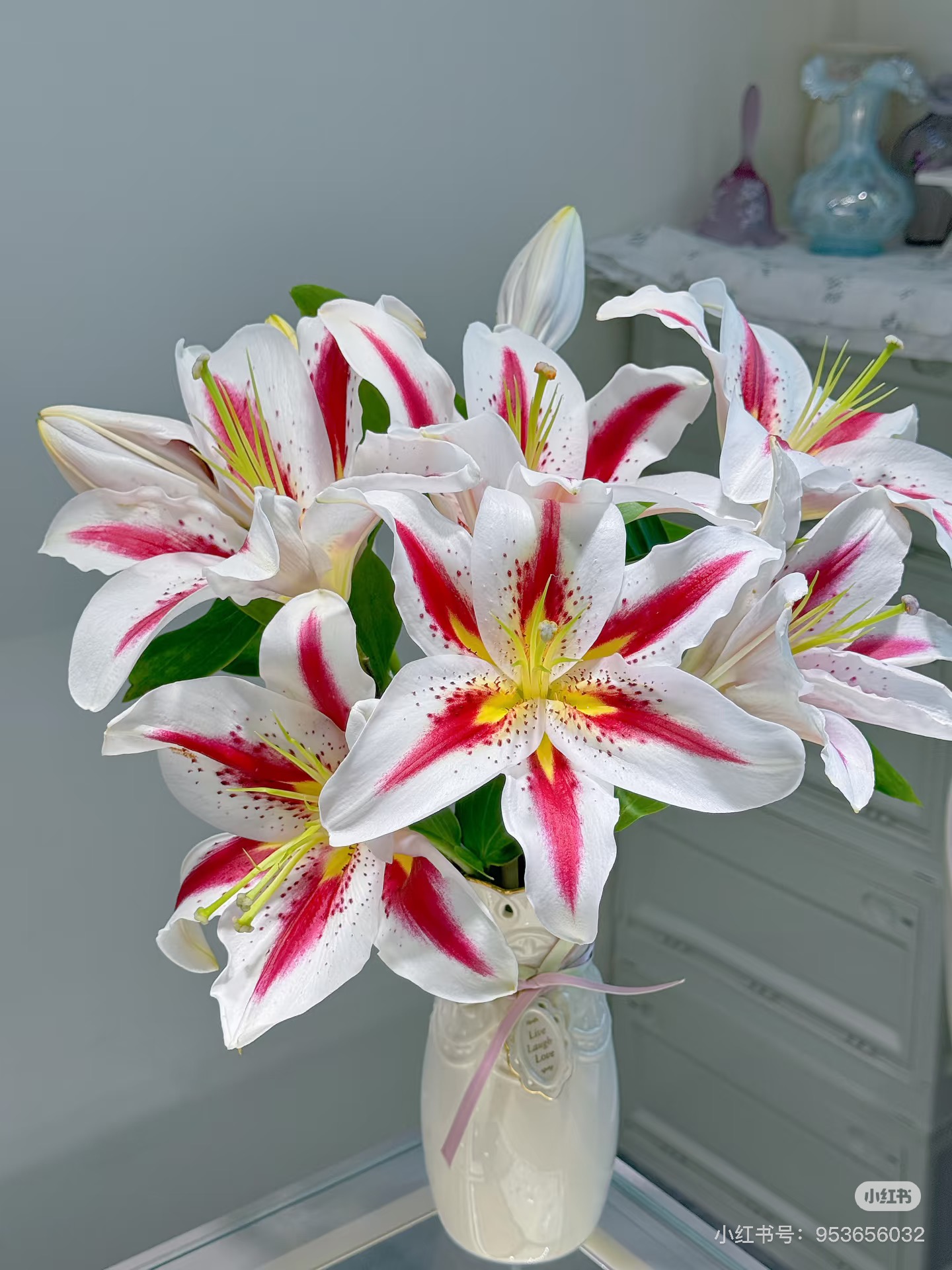 笑脸香水百合 昆明基地直发