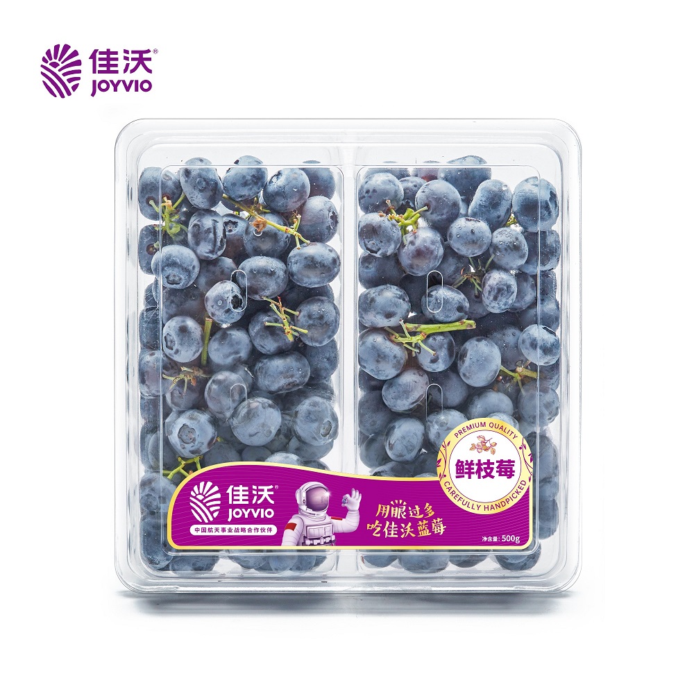 带枝蓝莓 500g