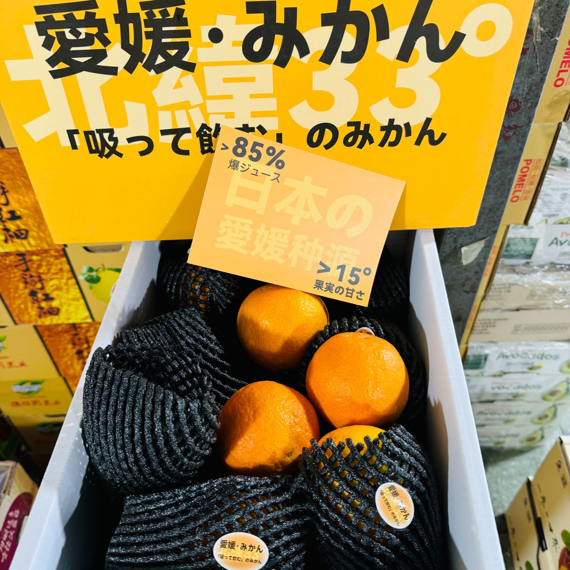 【白富美爱媛果冻橙】礼盒装