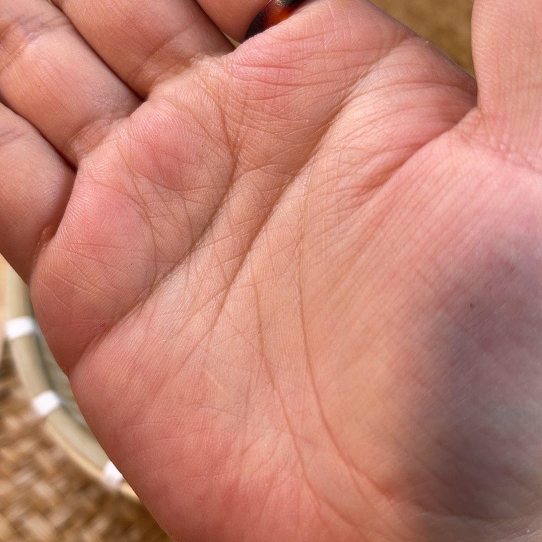 壶露*车999号龙云陶艺白云推荐1公斤