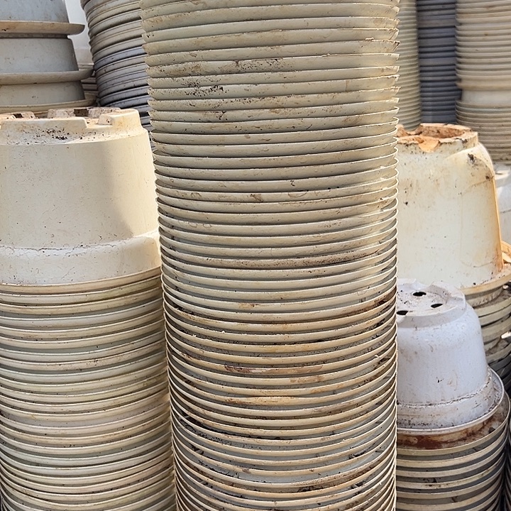 白色圆盆口径18高13发15个