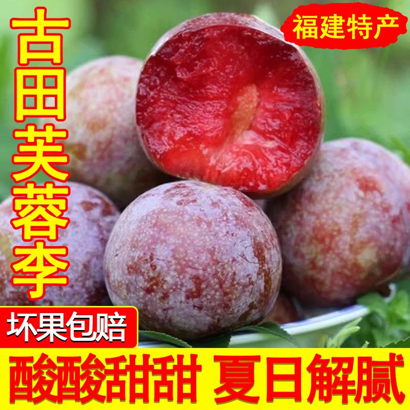 【5斤特惠包邮】新鲜现摘红心芙蓉李李子李福建整箱包邮孕妇适吃