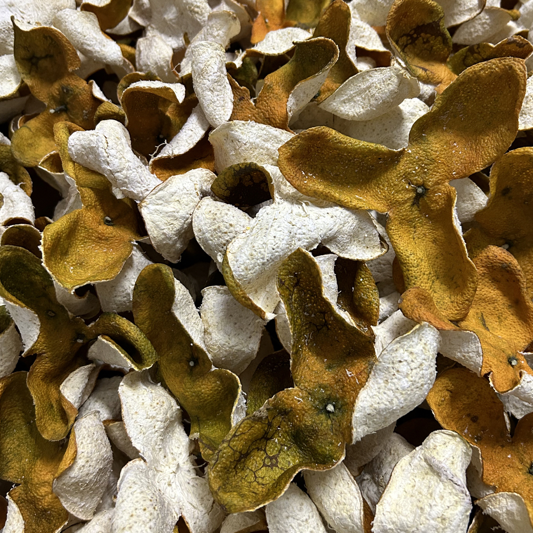 2025年茶坑圈枝大红皮【9年树龄，香气足】