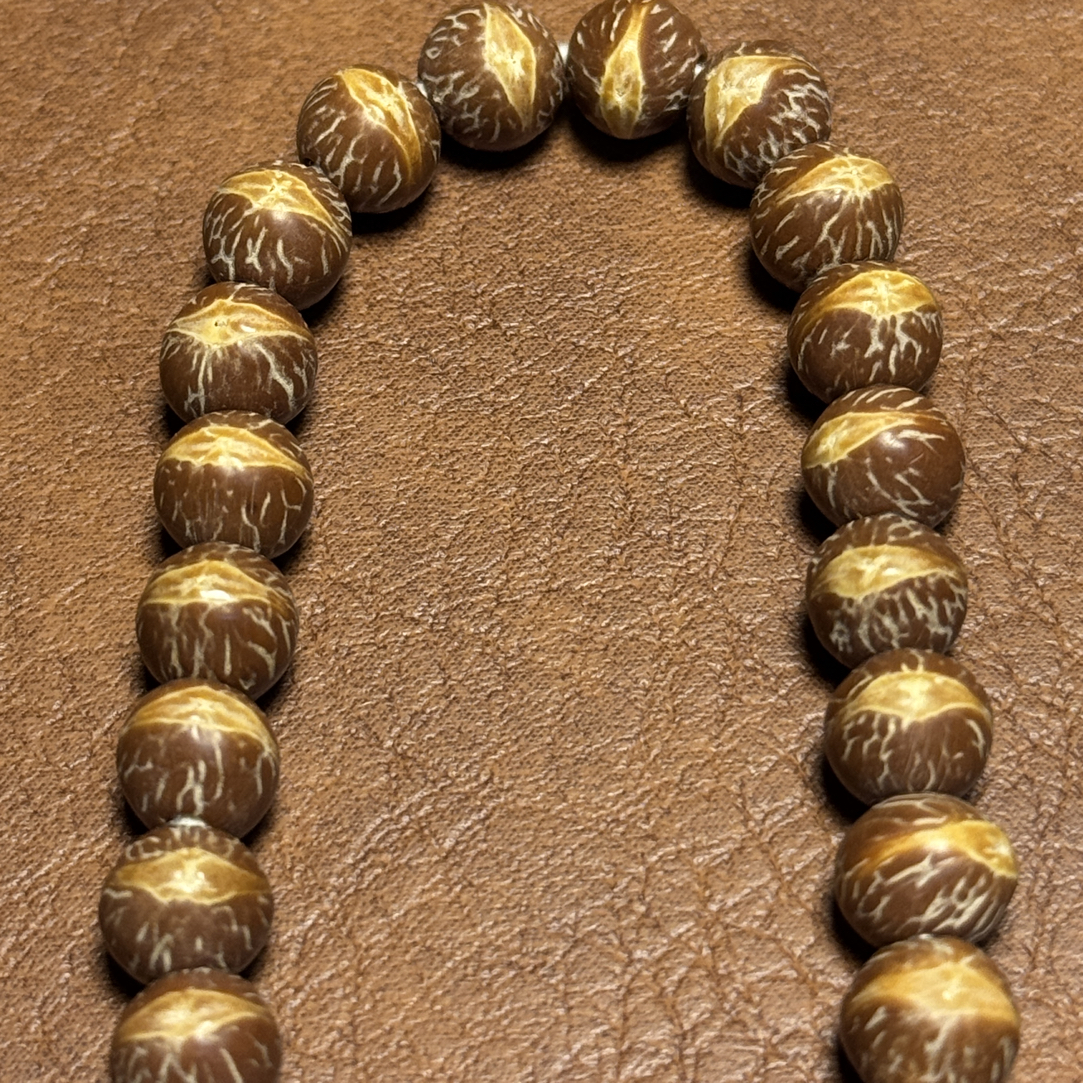 一图一物 酸枣核凤眼菩提