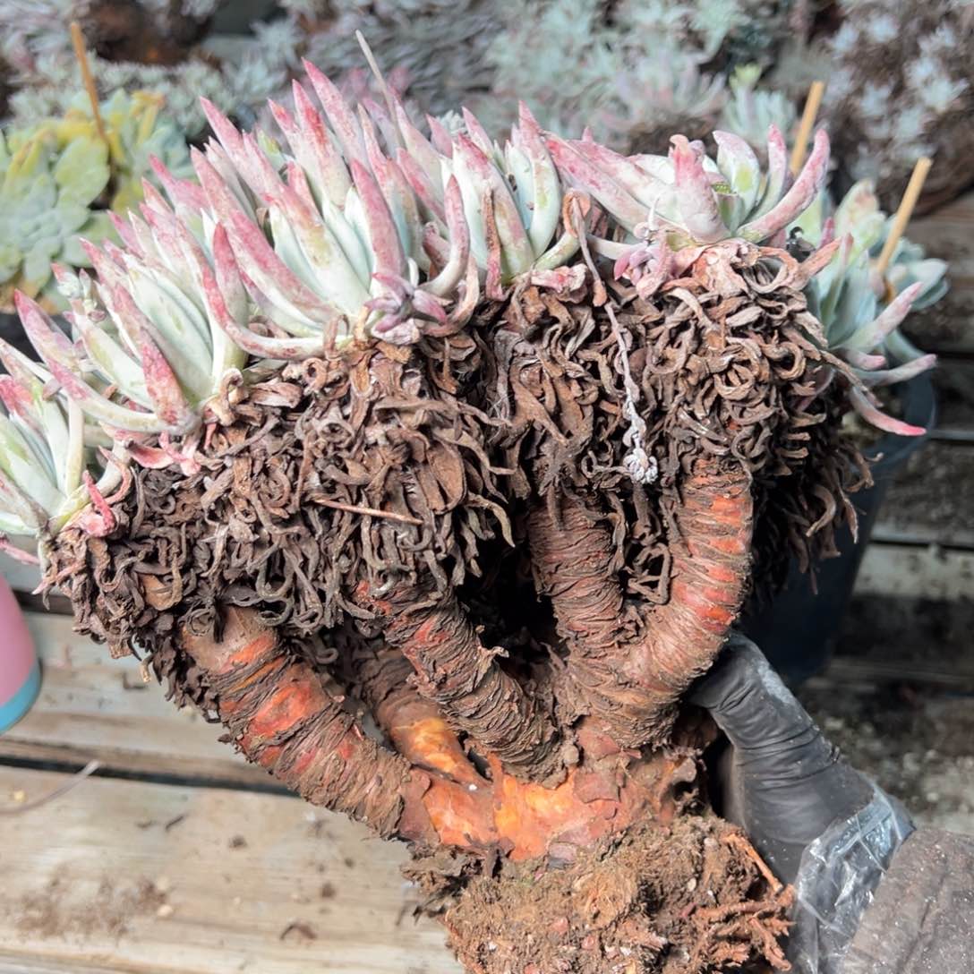 ？9071哈哈哈哈哈哈哈哈哈