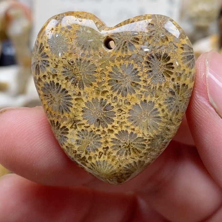 颈饰未镶嵌硅化珊瑚（珊瑚玉）有瑕 小