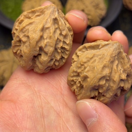 文玩核桃把件秦岭核桃25