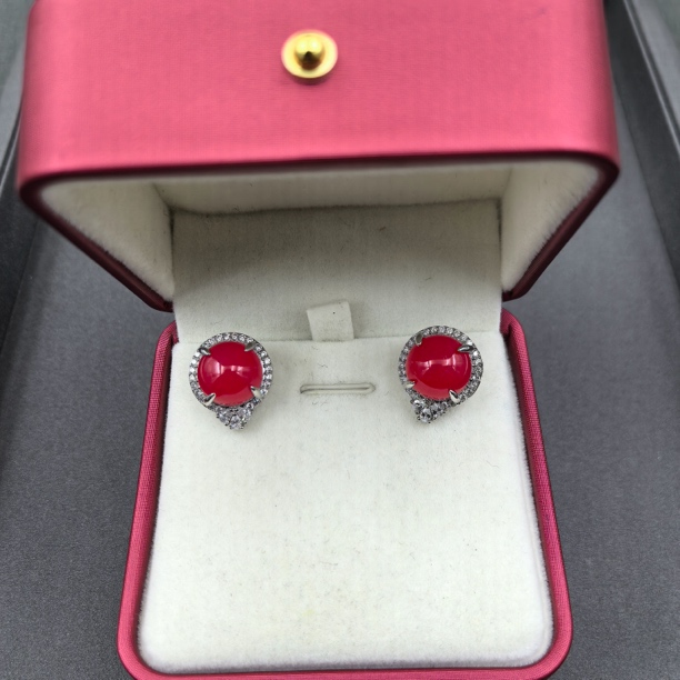   【经典永恒  光芒四射】 耳饰 GDJ9710