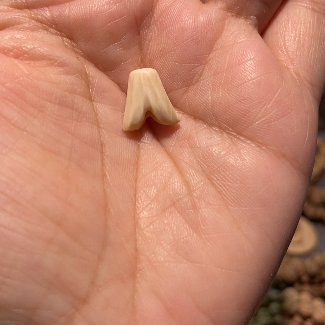 柏香籽/百香籽吊坠