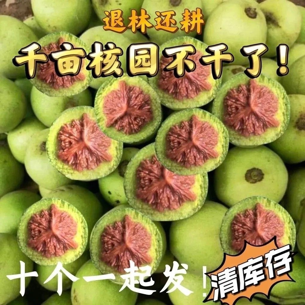 官帽青皮文玩核桃王永麒麟纹大官帽开青皮可代开发货保熟保品种