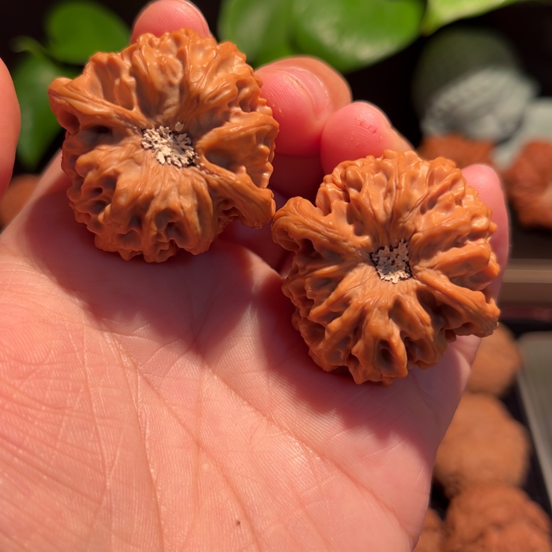 【闪购商品】文玩核桃把件龙门涧38