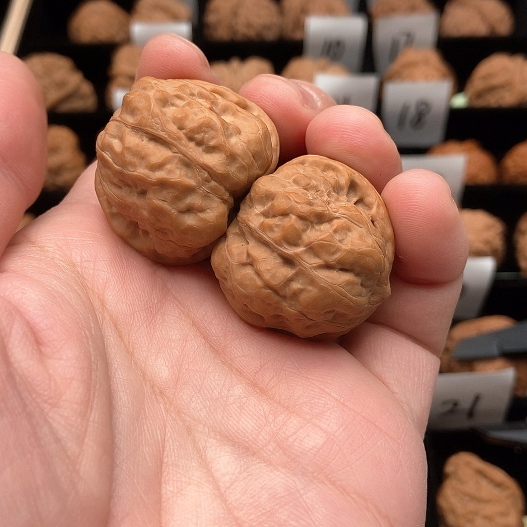 文玩核桃吊坠一**过蛤蟆头手念