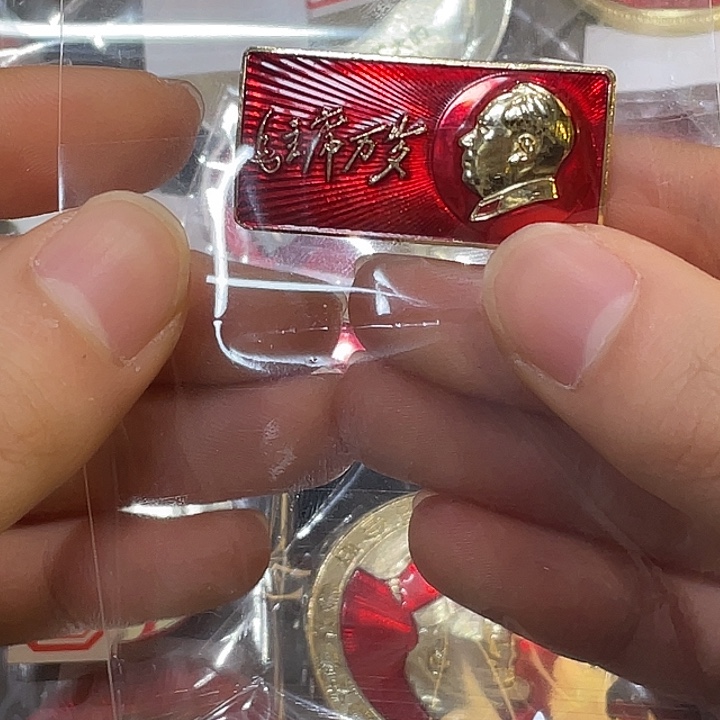 齐***飞一一一一一一一一一一