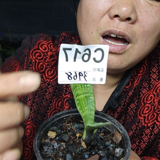 军***魂完全开放是0000000000