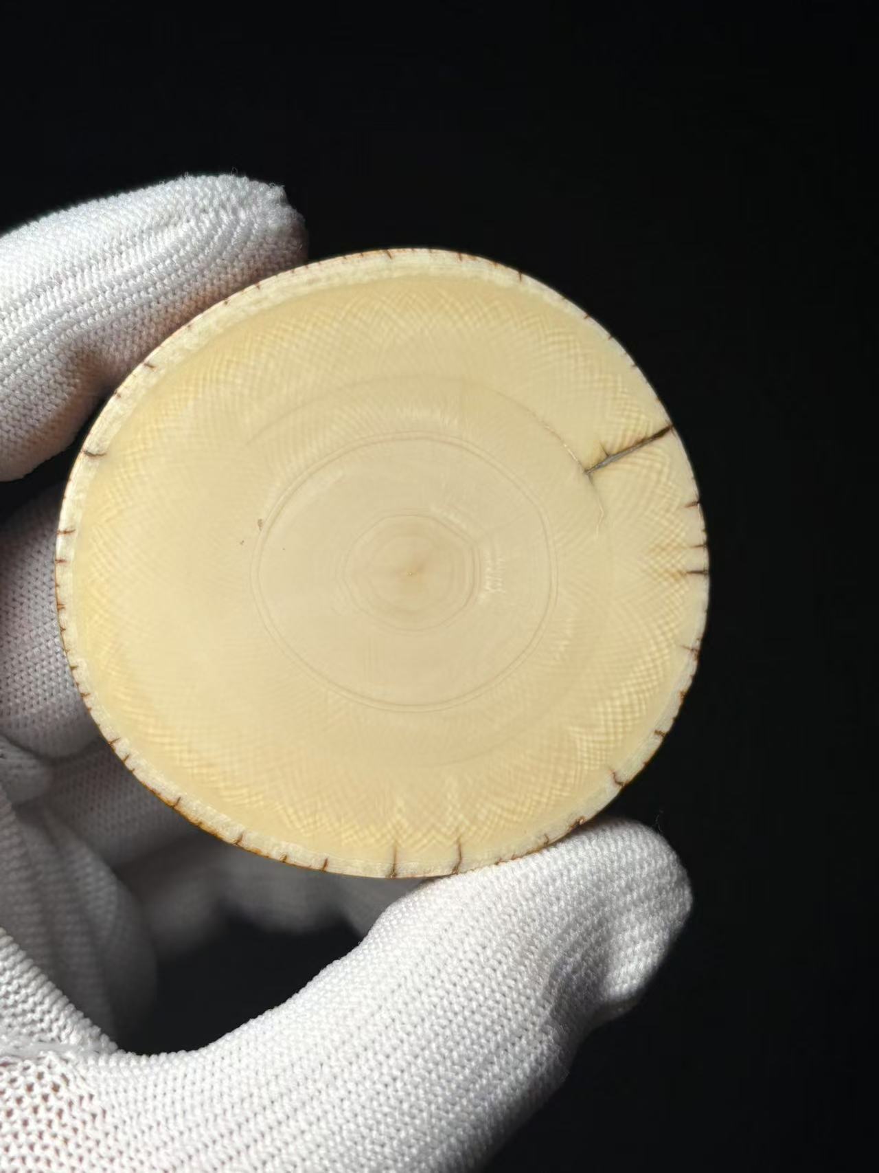 丰骨「猛犸象牙·饼子」60*11mm 材质保真 假一罚四-B07