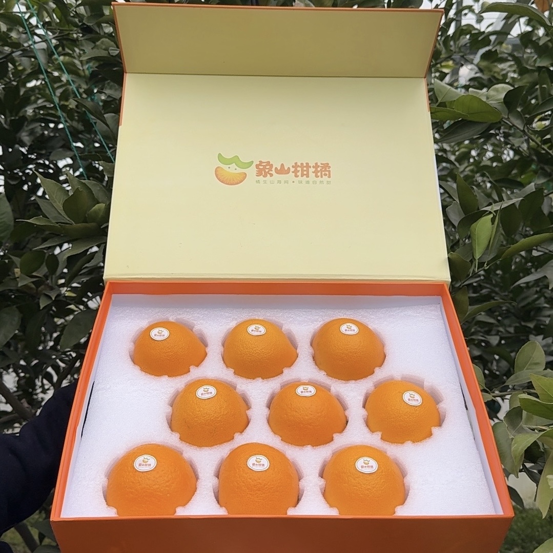 正宗象山黄美人柑橘生鲜水果家庭装5斤浙江原产地新鲜采摘桔子爱媛68号