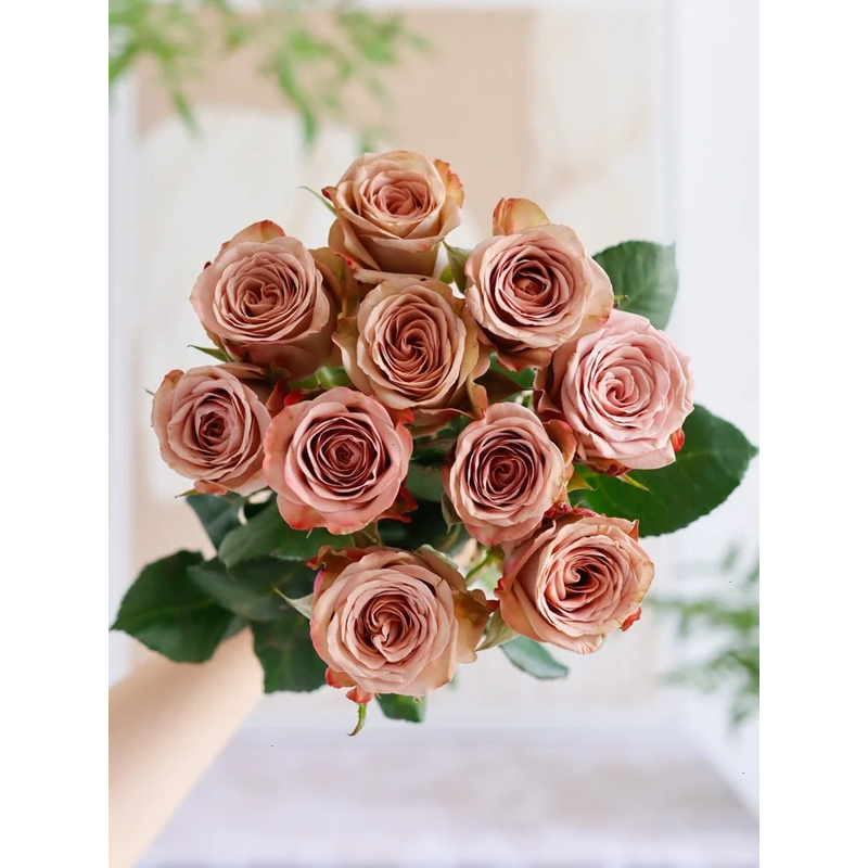 【清新花卉】20支卡布奇诺玫瑰   一单包邮 云南鲜花昆明基地现采