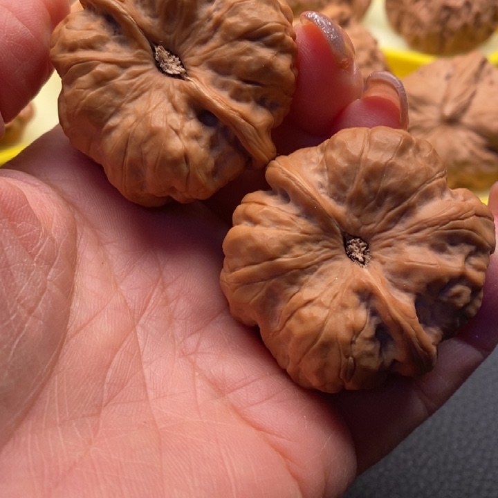 唐***鹤核桃111111111111