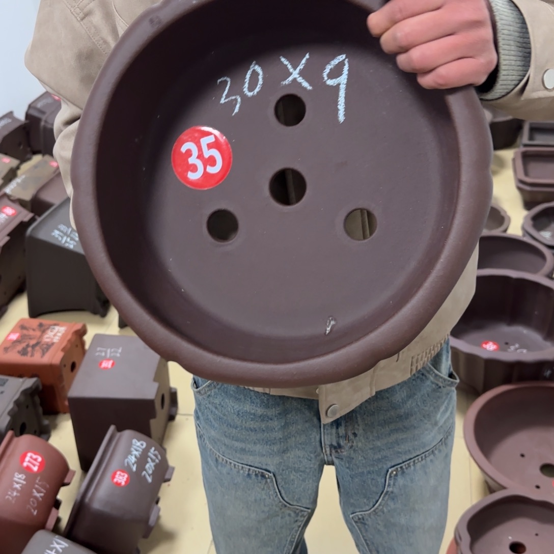 紫砂花盆呜呜呜呜