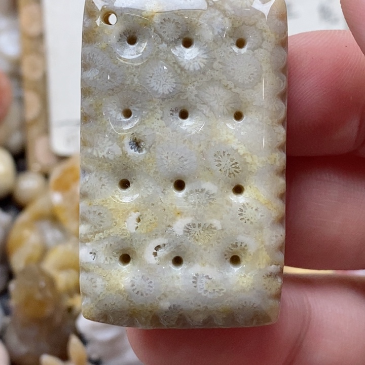 颈饰未镶嵌硅化珊瑚（珊瑚玉）有瑕