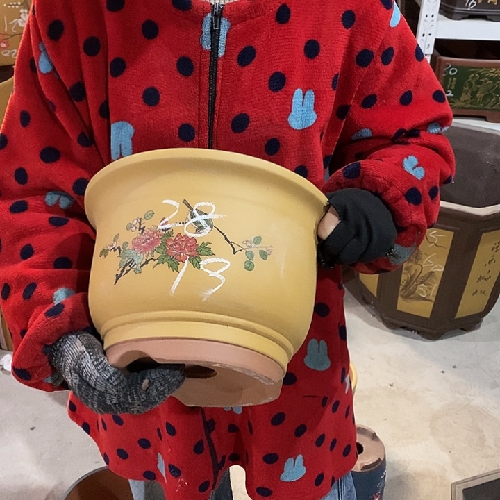 花盆紫砂紫砂花盆