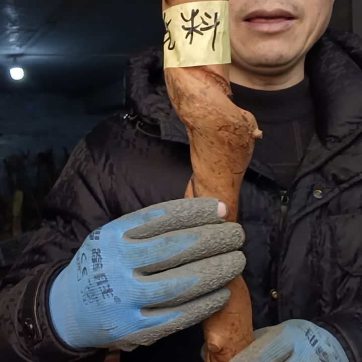 稳定木大*在贵州檬子木   铁马鞭   根艺  半成品