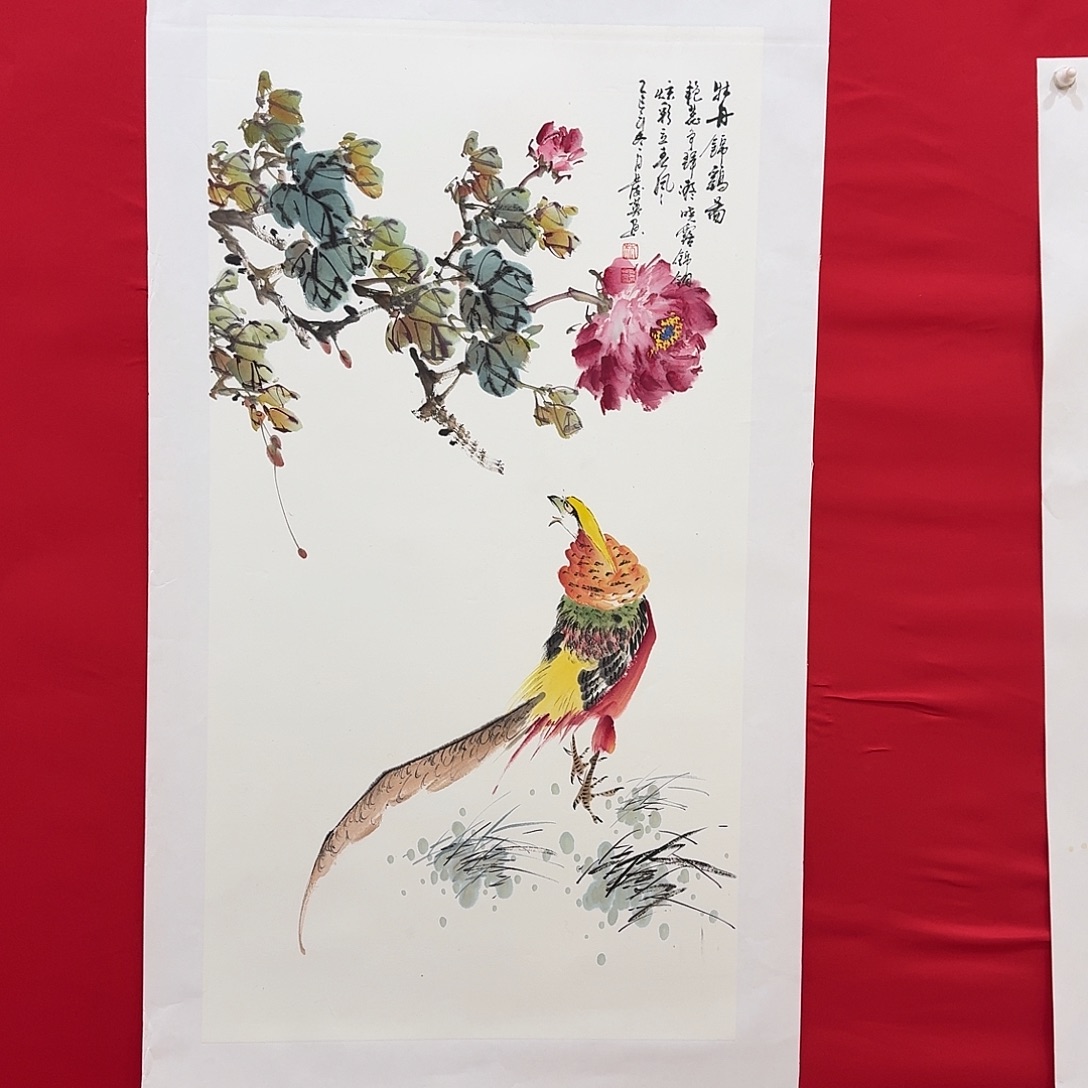 国画新号开播福利多多