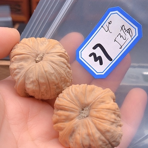 文玩核桃吊坠起*南瓜