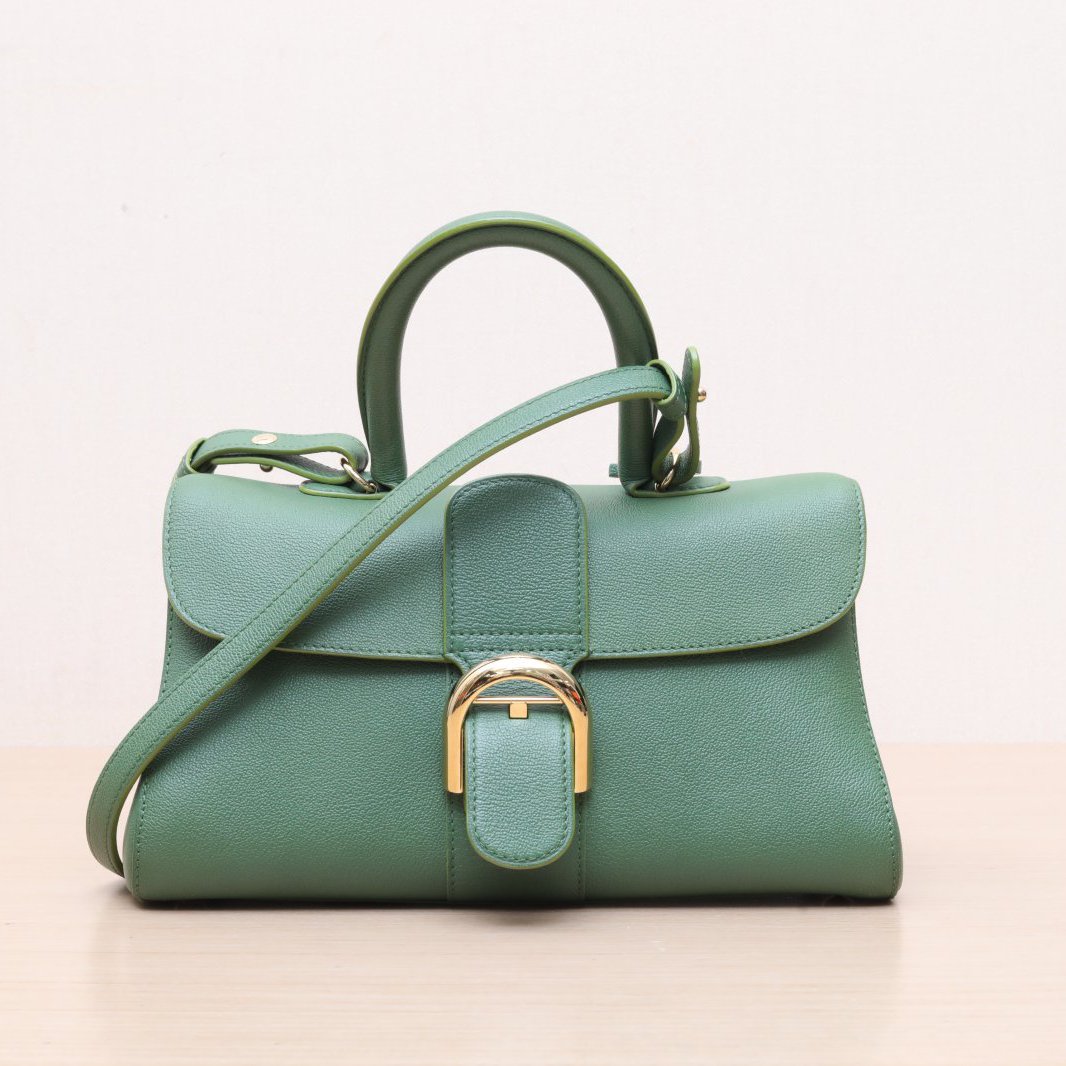 95新 Delvaux/德尔沃 小花双双 横版 荔枝皮革C 金扣 单肩包