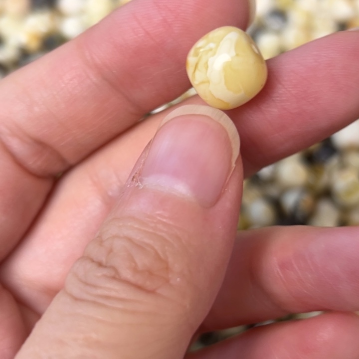 蜜蜡未镶嵌裸石11.2mm一个