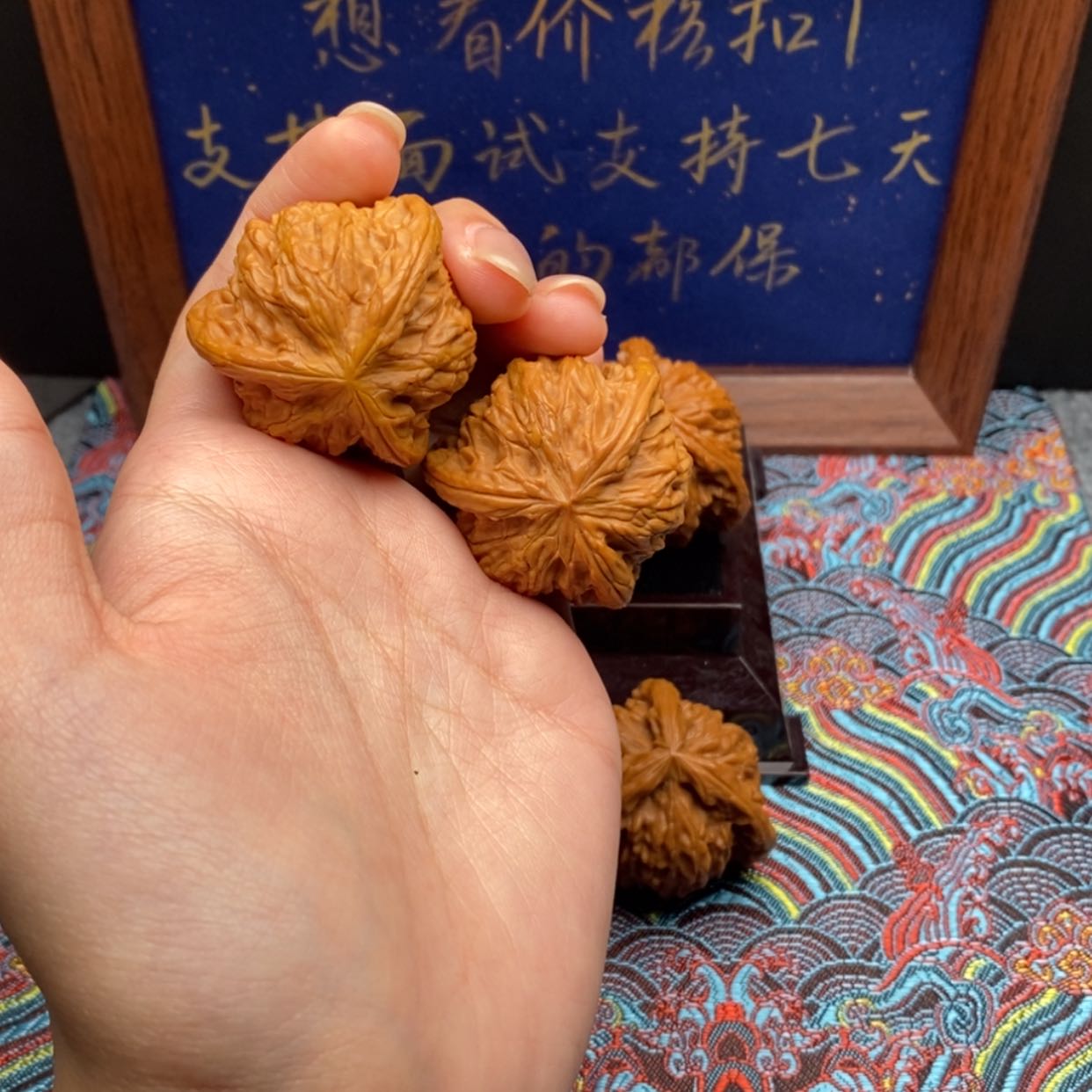 【闪购商品】X****吖白狮