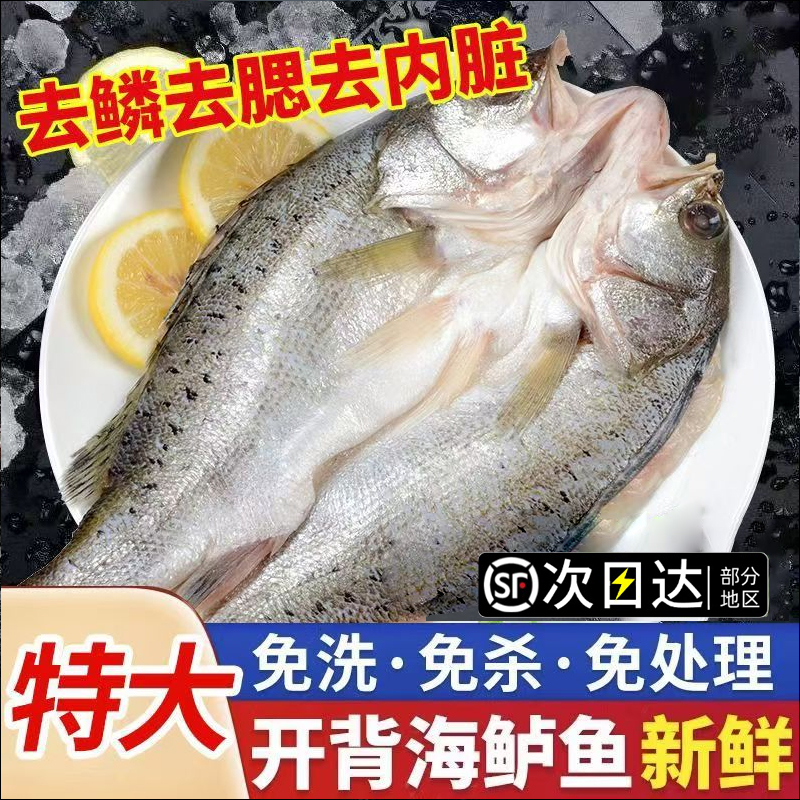 顺丰次日达【3/4条】【开背海鲈鱼】 海鲈鱼新鲜冷冻鲜活深海