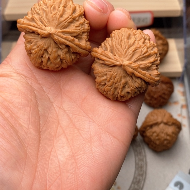 核桃把件?****?白狮子核桃