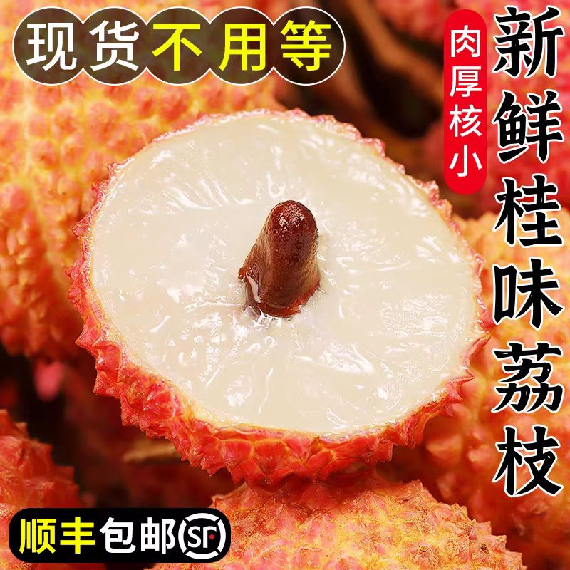 【京东冷链】现摘现发当季茂名桂味荔枝爆甜多汁核小肉多包邮