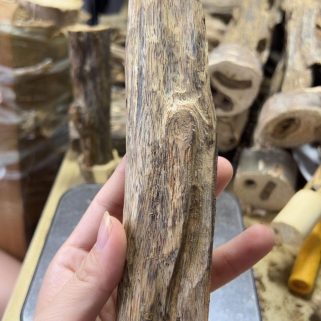 木绿奇楠虫漏36克