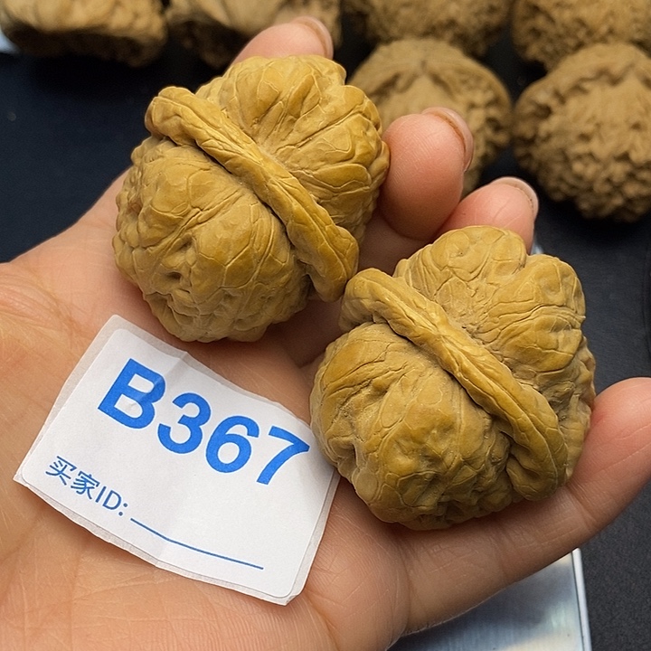 核桃蛙蛙4.2，肚子4.5，