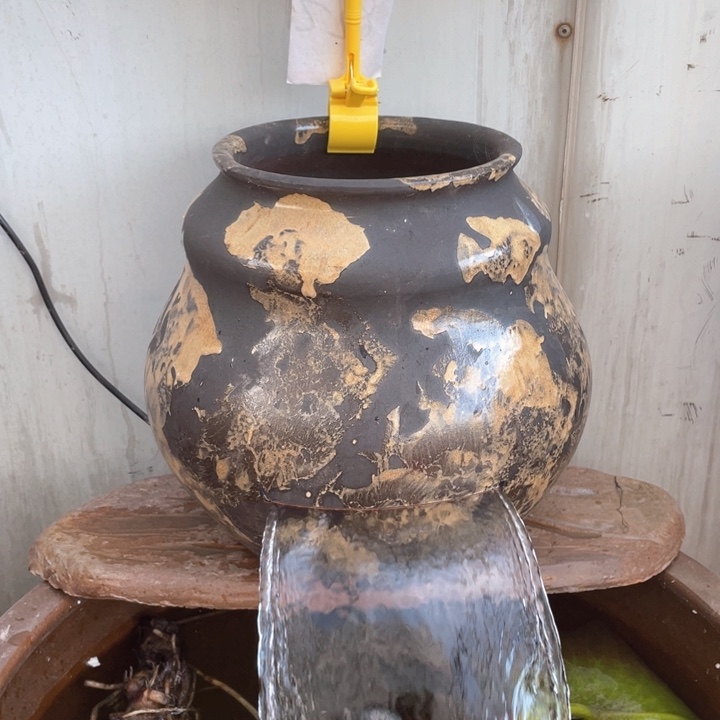 福禄1号1个➕40瓦水泵