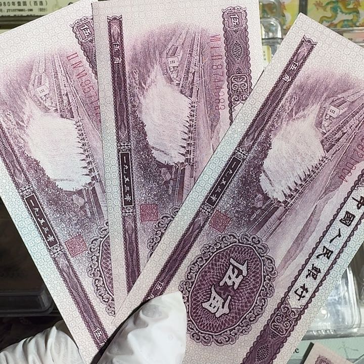 飞*水坝五角三张裸币