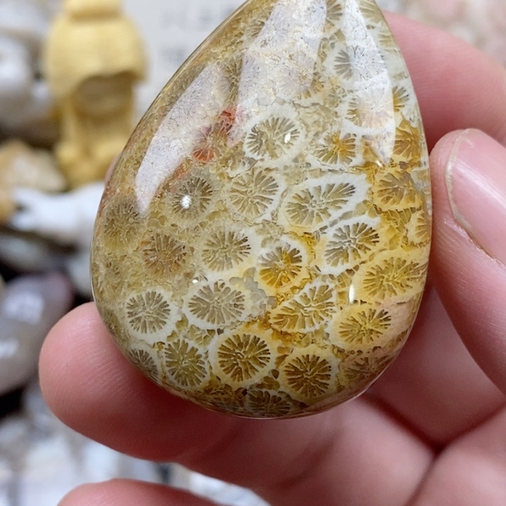 颈饰未镶嵌硅化珊瑚（珊瑚玉）